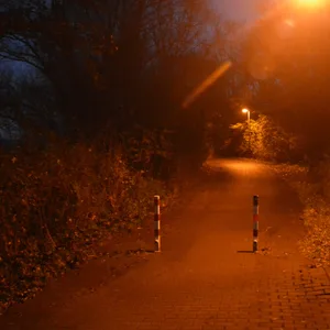 Dunkler Waldweg in Ehrenburg
