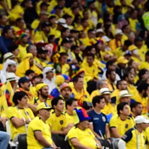 Ecuador Fans beim Eröffnungsspiel der WM in Katar.