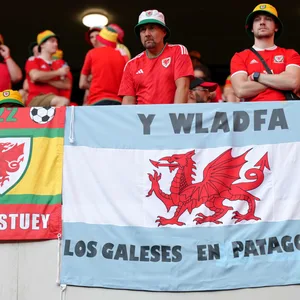 Wales-Fans