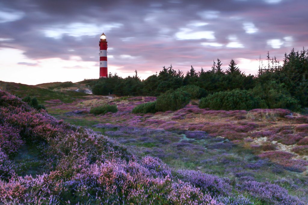 Amrum Leuchttum