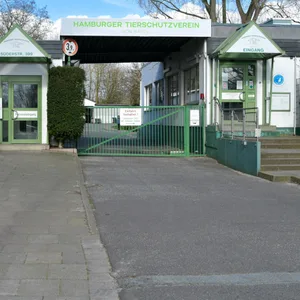 Tierheim Süderstraße