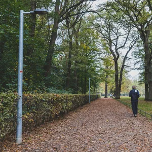 Im Altonaer Volkspark wurden 55 Lampen gebaut – vor allem für Jogger. Doch die tappen jetzt abends im Dunkeln.