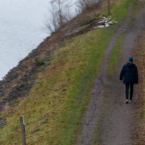 Elbe-Seitenkanal