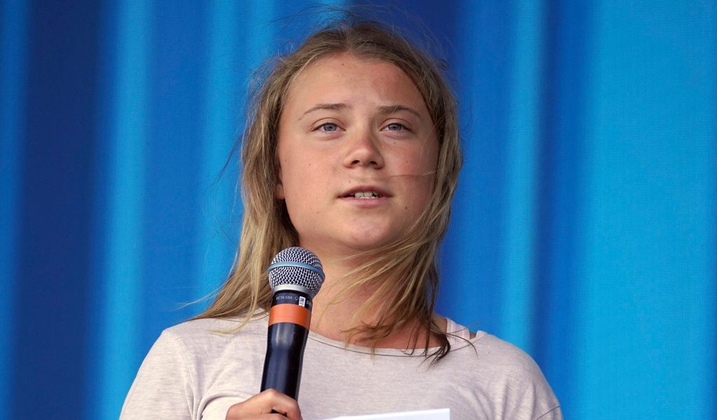 Ex Kickboxer Will Greta Thunberg Provozieren – Die Knockt Ihn Mit Penis
