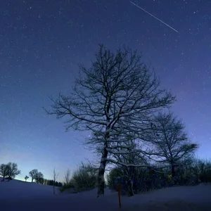 Schneebedeckte Landschaft. Am Himmel viele Sterne und eine Sternschnuppe