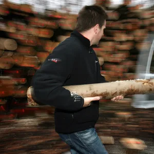 Holzklau in Köln