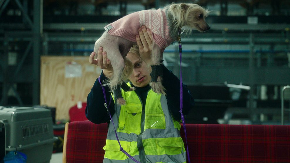 Ein junger Mann hält einen kleinen Hund in die Luft.