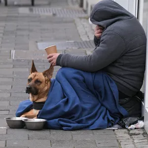 Für manche Obdachlose ist der Hund ihr bester Freund. Doch organisierte Bettler nutzen die Tiere oft gezielt, um Mitleid zu erregen (Symbolbild).