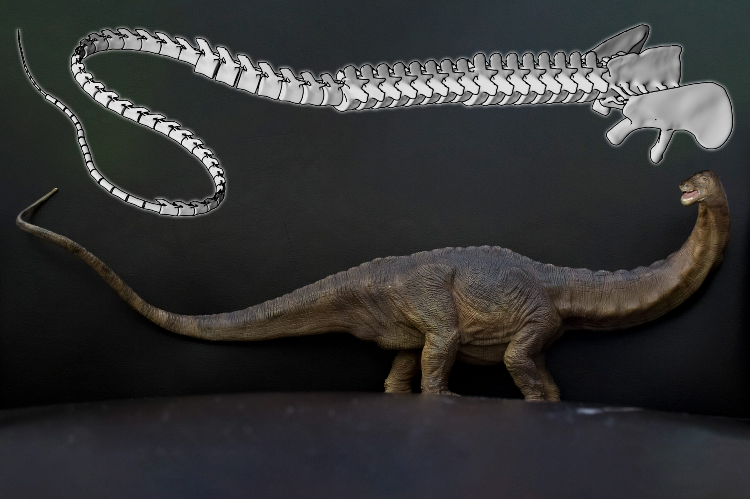 Dino-Schwanz nachgebaut