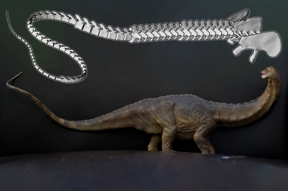 Dino-Schwanz nachgebaut