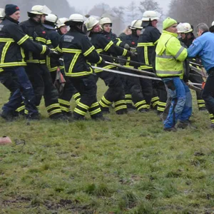 Pferd rutscht in Graben – Feuerwehr rettet es
