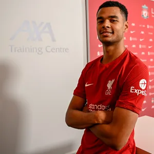 Cody Gakpo im Liverpool-Trikot