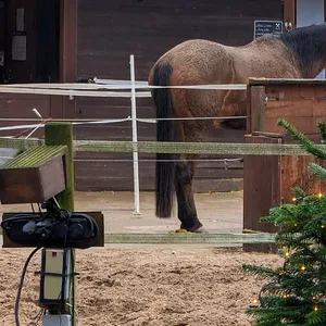 Reitanlage in Rahlstedt