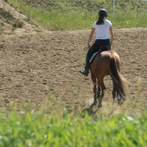 Frau sitzt auf einem Pferd.