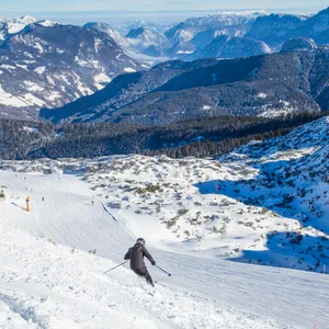 Skifahrer tot