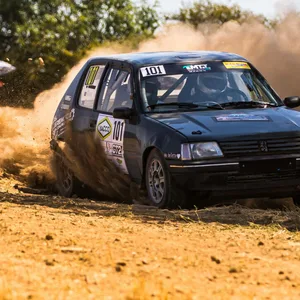 Peugeot 205