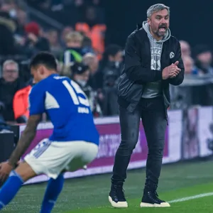 Thomas Reis, Trainer von Schalke 04
