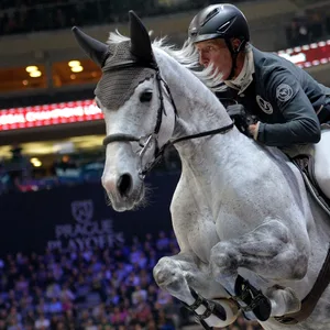 Ludger Beerbaum im November in Prag