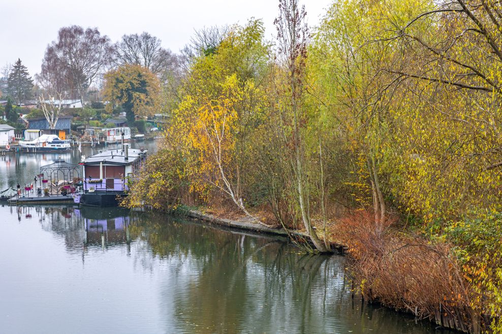 Blick auf eine Fläche mit Bäumen, die zukünftig Ankerplatz für „Das Boot“ in Hamburg wird