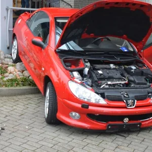 Ein roter Peugeot steht auf einer Böschung an einem Geländer.