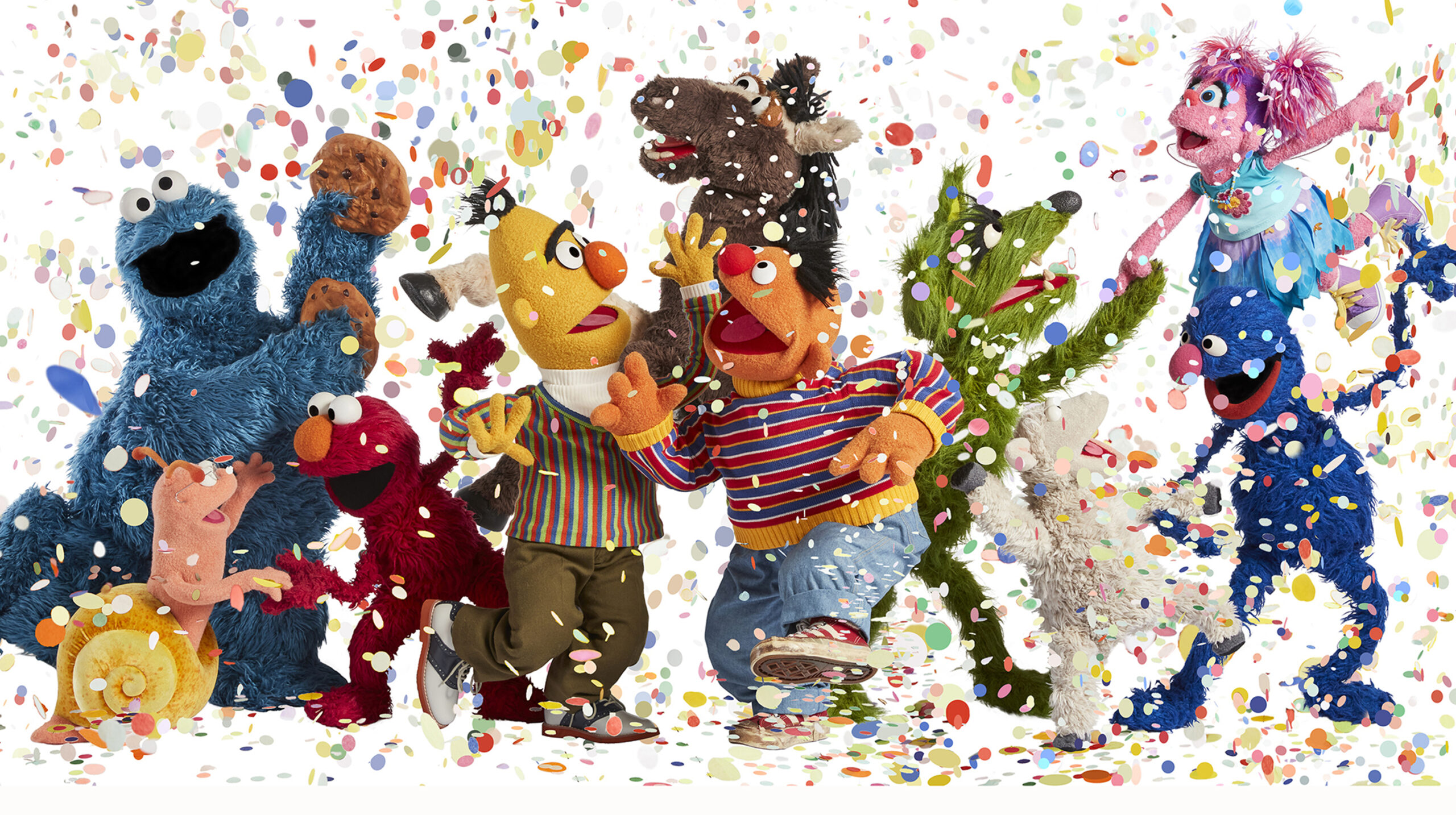 Ernie, Bert und Co. haben Grund zum Feiern: Am 8. Januar 1973 gab die deutsche Sesamstraße ihr TV-Debüt.