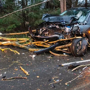 Der zerstörte Nissan musste abgeschleppt werden. Dessen Fahrer verletzte sich bei dem Unfall leicht.