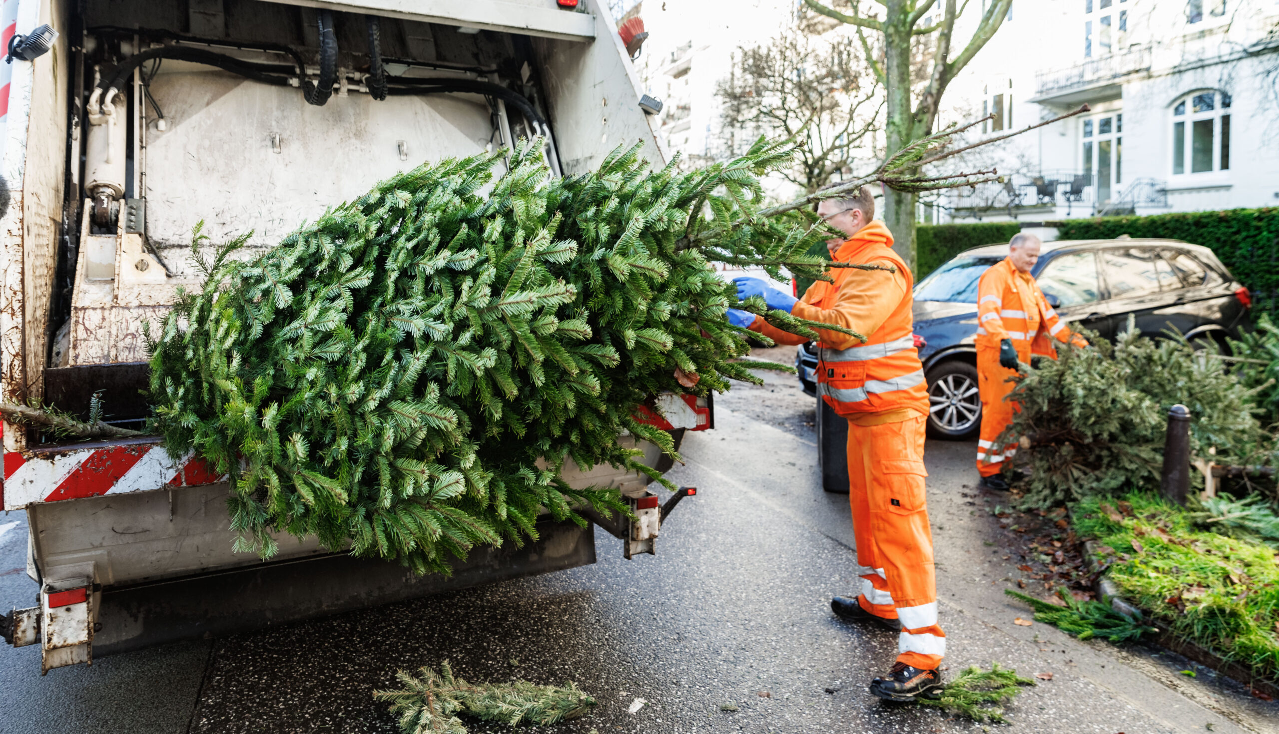 Die Hamburger Stadtreinigung sammelt seit Montag ausgediente Weihnachtsbäume ein.