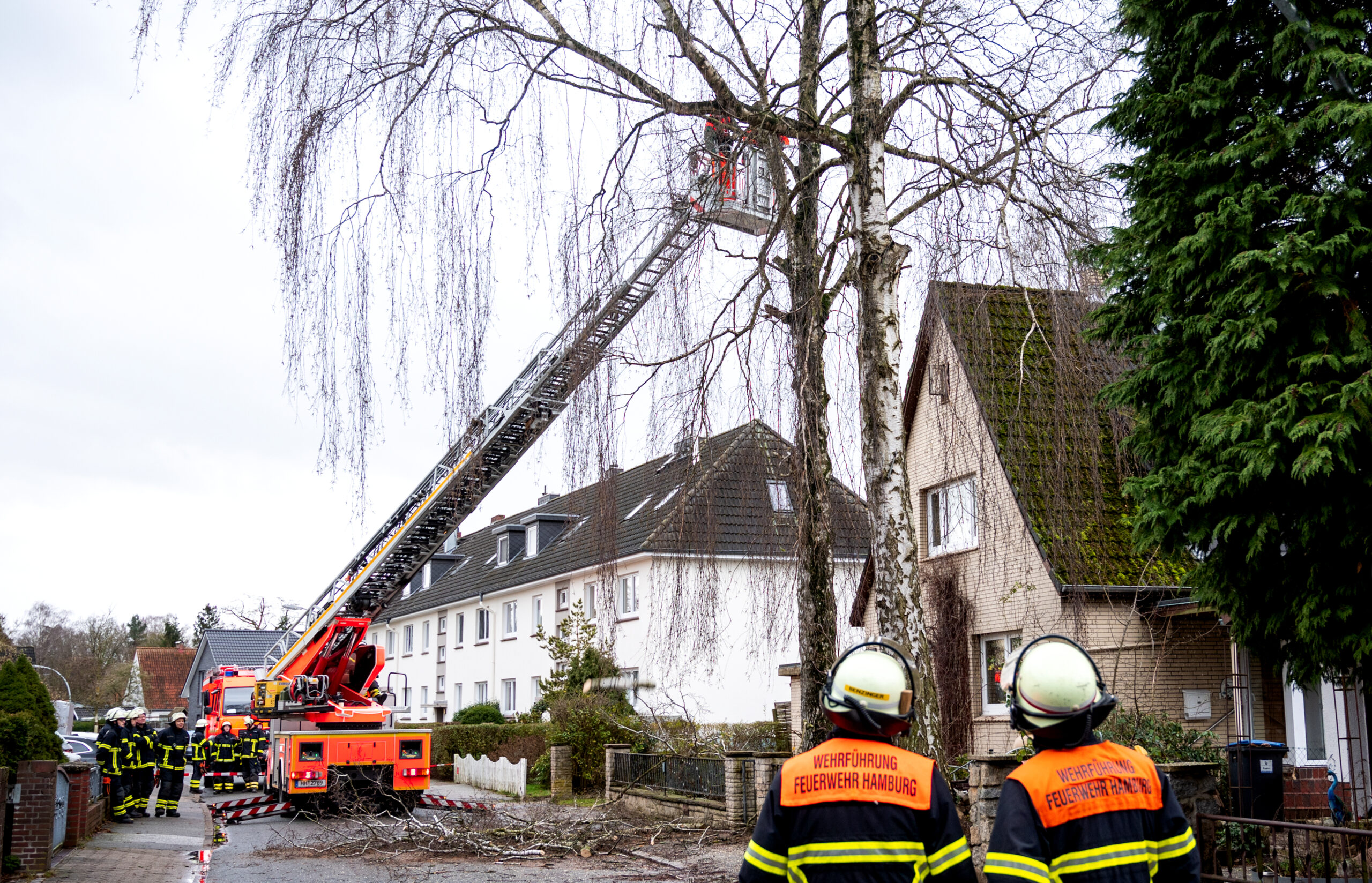 Feuerwehrleute zersägen in Hamburg-Lohbrügge von einer Drehleiter aus einen Baum, der umzustürzen droht.
