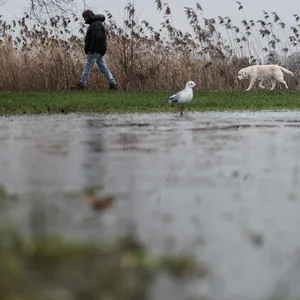Grauer Januar: Zum Wochenende wird es in Hamburg wieder kalt, nass und windig.