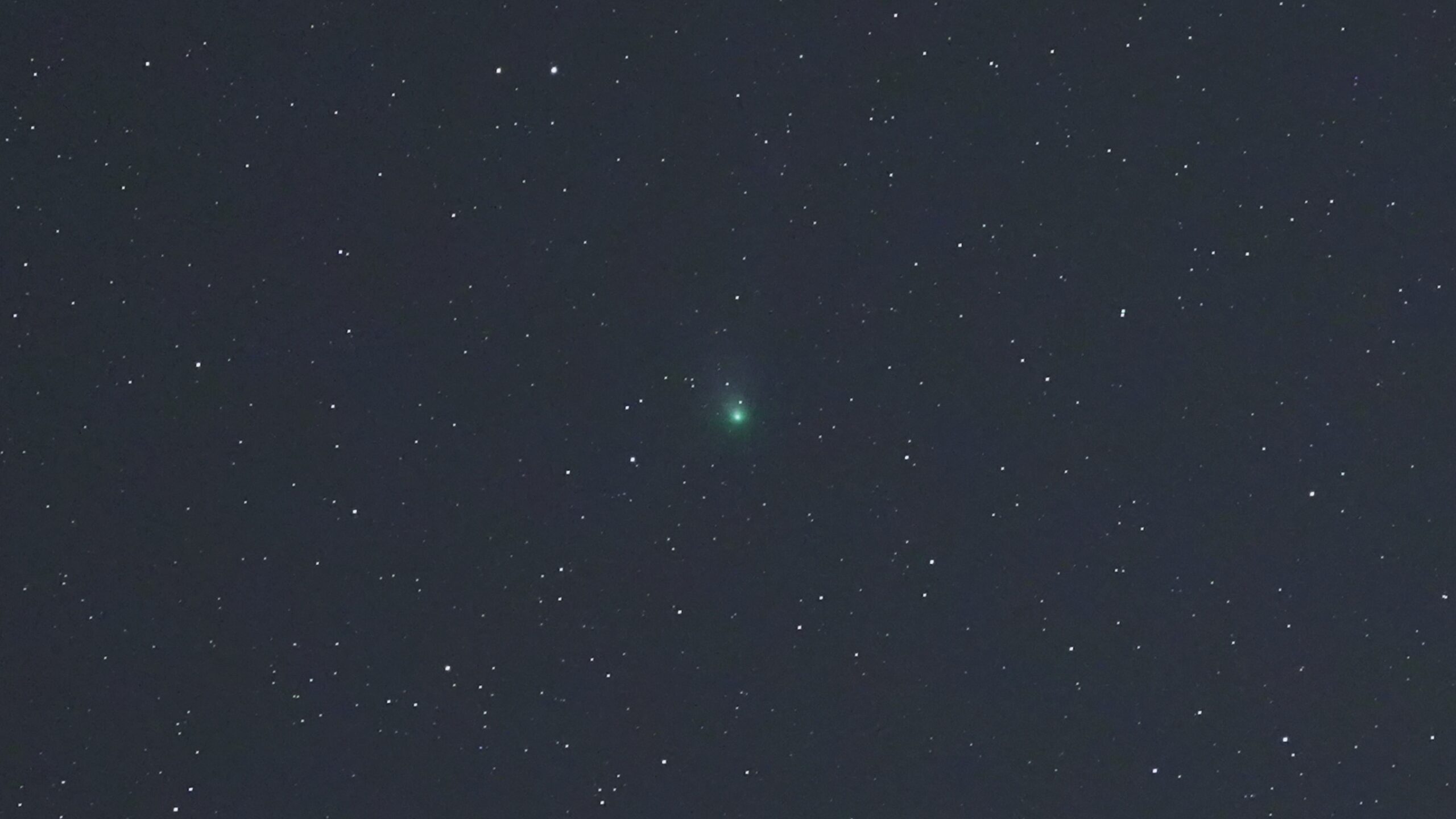 Der Komet C/2022 E3 (ZTF) über Drebber, in Niedersachsen. Während die meisten Kometen nur mit guten Teleskopen beobachtet werden können, kann in diesem Februar ZTF schon mit einem großen Fernglas gesehen werden.
