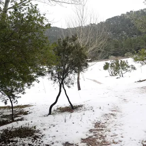 Mallorca