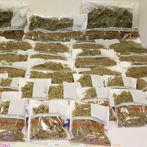 Vor Gericht geht es um mehrere hundert Kilo Marihuana und Haschisch.