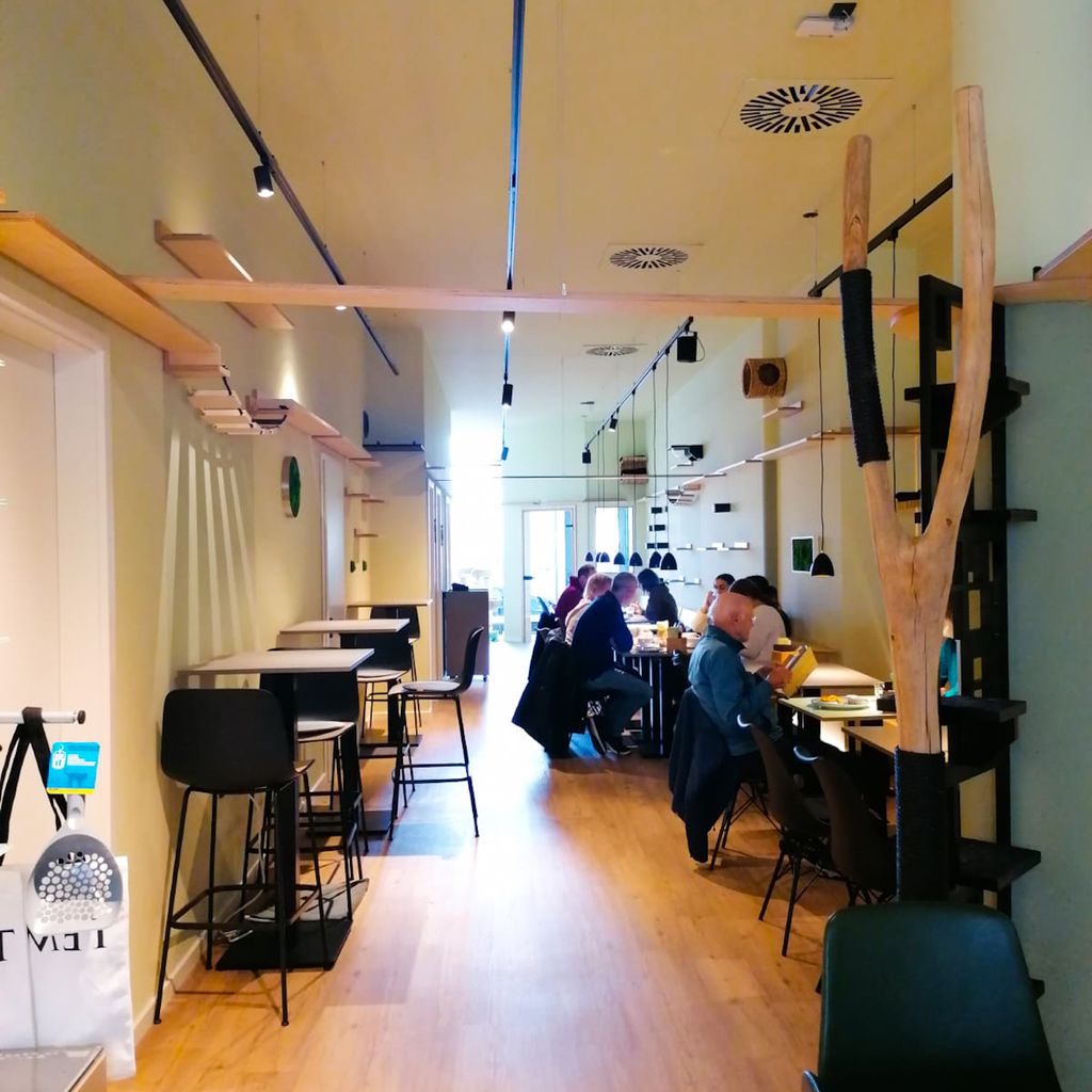 Das Konzept des Cafés: vegan essen und dabei von Katzen umgeben sein