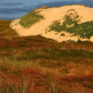 Wanderdüne bei List auf Sylt