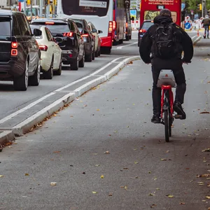 Am Dammtordamm gibt es sie zum Beispiel schon, nun sollen noch weitere in Hamburg entstehen: Protected Bike Lanes, die Fahrräder physisch vom Autoverkehr trennen. (Archivbild)