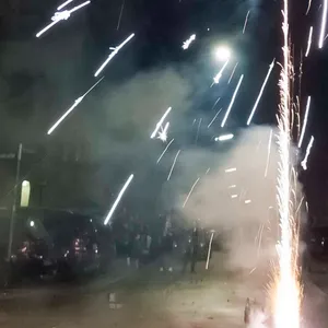 Silvester-Feuerwerk in Hamburg (Symbolbild). Wird das Böllern bald verboten?