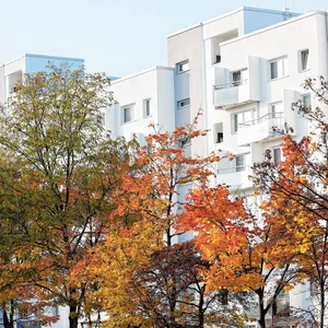 Die Mieten in Hamburg werden immer teurer – das Wohngeld kann helfen.