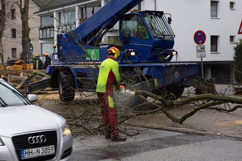 Am Freitagmorgen surrten die Sägen in Wandsbek.