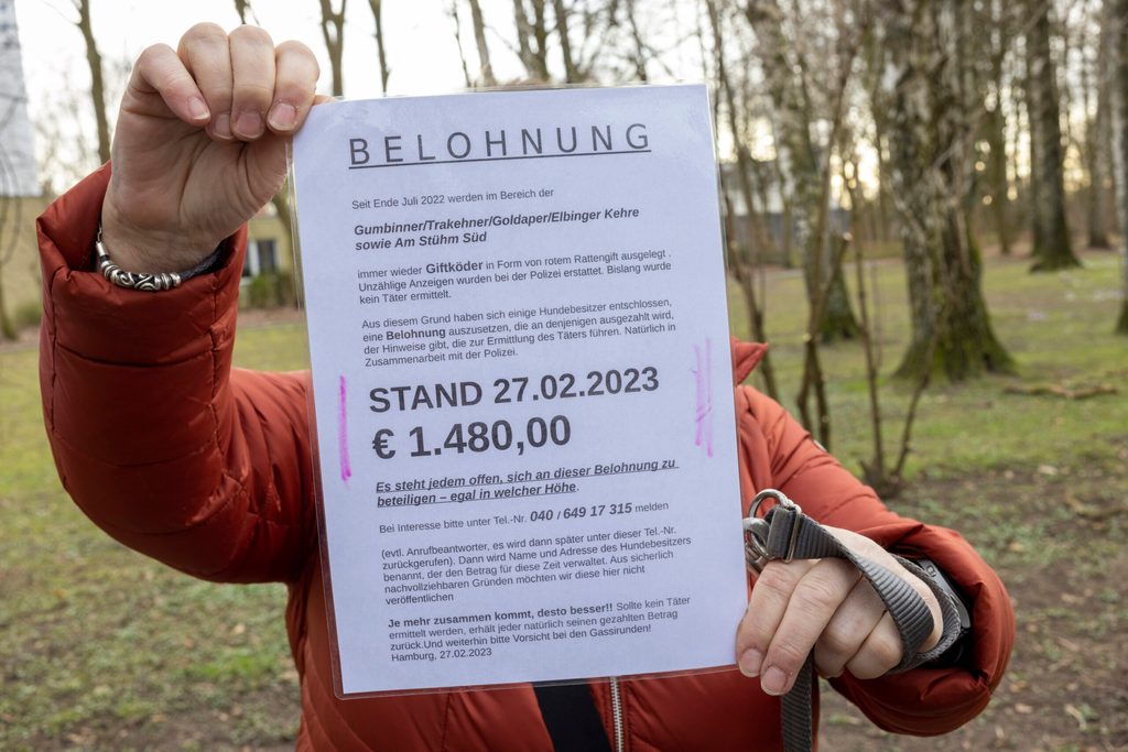 Die Zettel werden regelmäßig erneuert, weil immer mehr Geld für die Belohnung gesammelt wird.