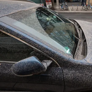 Saharastaub Auto Blutregen