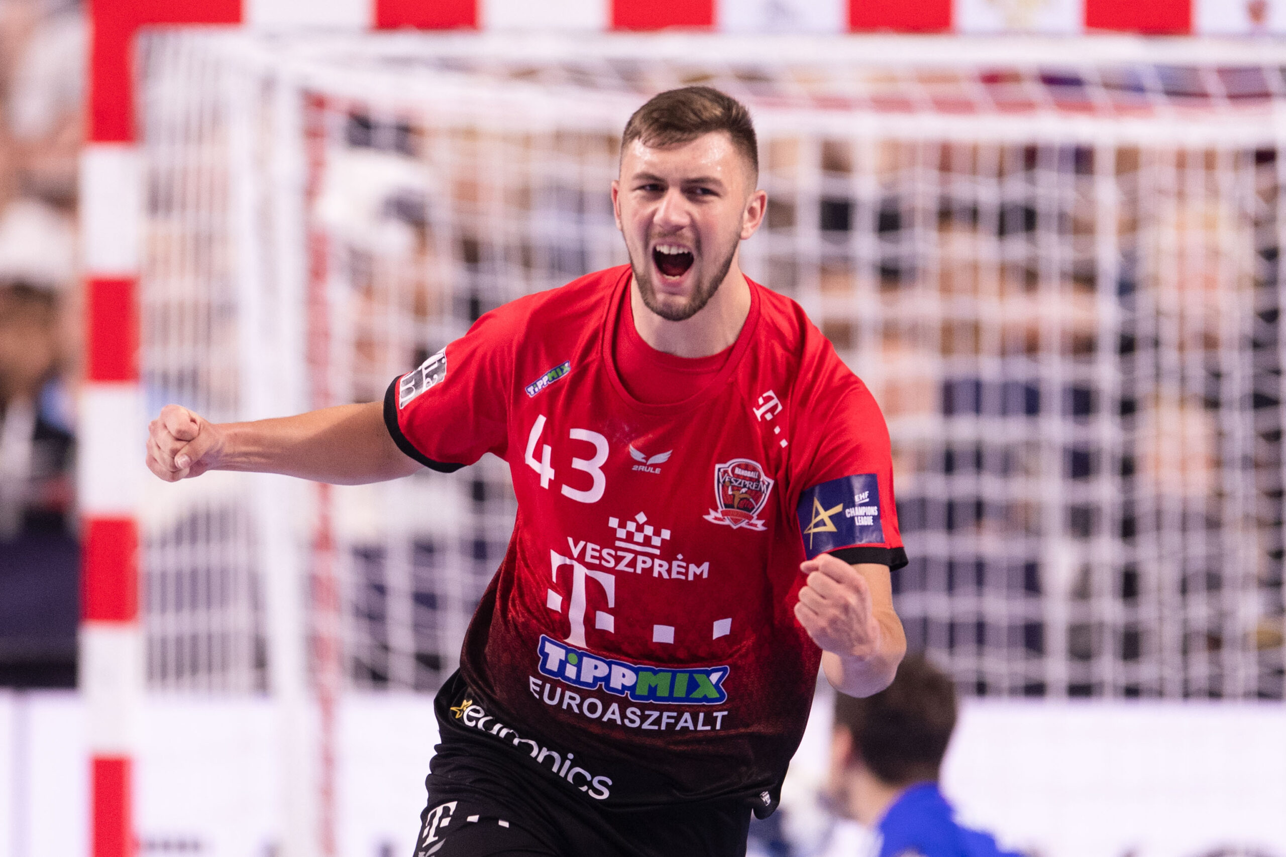 Handballer Zoran Ilic