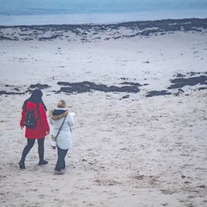 Schwarze Ablagerungen am Strand von Rügen