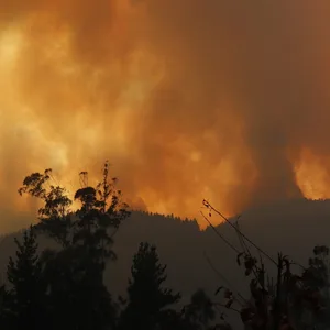 Rauchwolken steigen aus dem Wald bei einem schweren Brand. Tausende Hektar sollen im südamerikanischen Land von Flammen betroffen sein.