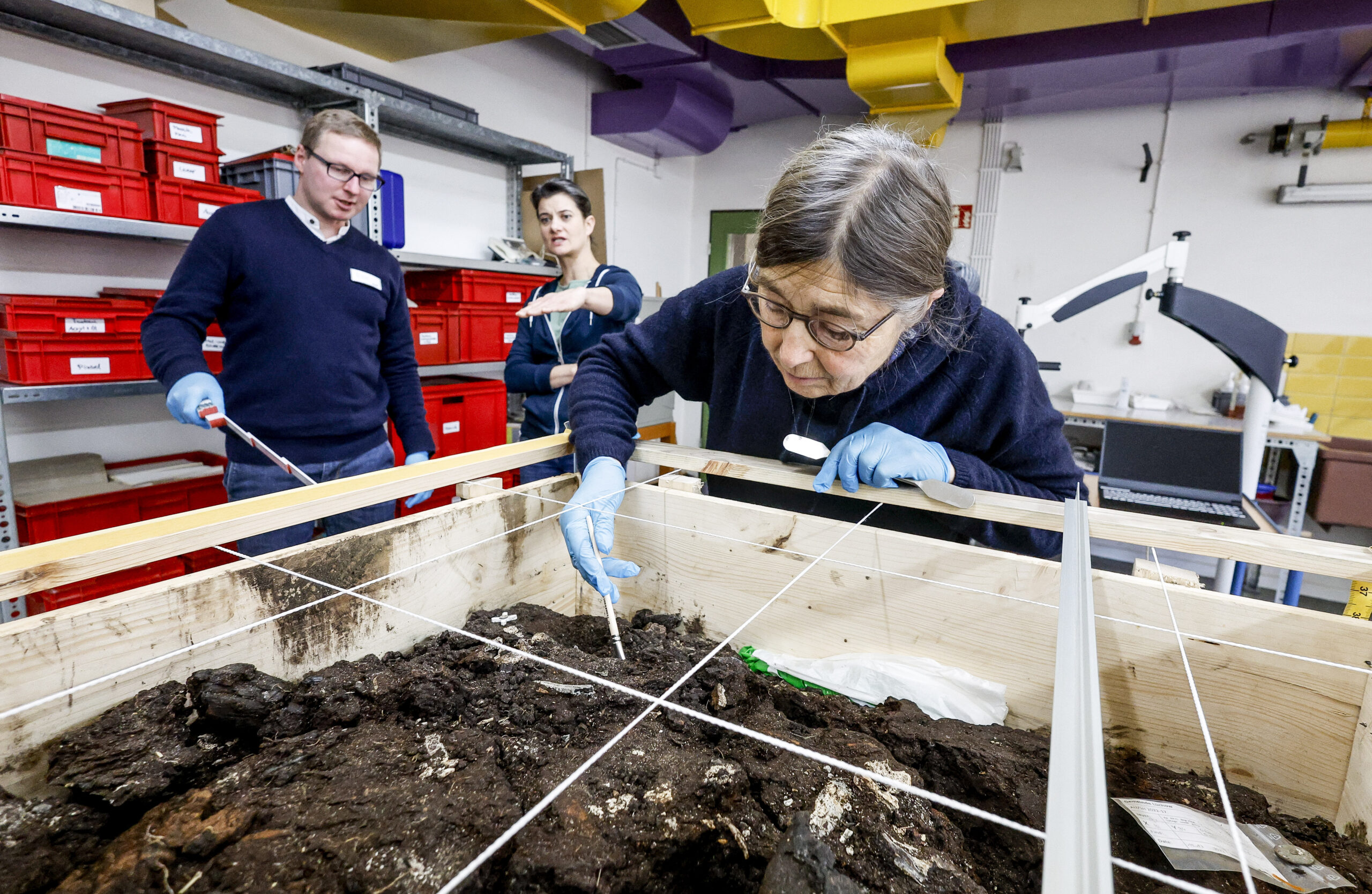 Aufnahme von Birgit Schaaf, ehrenamtliche Grabungsmitarbeiterin, wie sie im Labor an den Ausgrabungen des ältesten norddeutschen Grabes arbeitet.