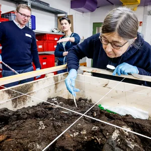 Aufnahme von Birgit Schaaf, ehrenamtliche Grabungsmitarbeiterin, wie sie im Labor an den Ausgrabungen des ältesten norddeutschen Grabes arbeitet.