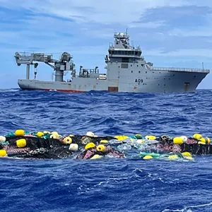 Koks Neuseeland Pazifik