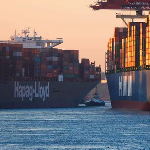 Deutsche Reedereien wie Hapag-Lloyd können Milliarden-Gewinne einstreichen, werden aber kaum besteuert. Das muss sich ändern, findet die Linke.