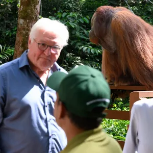 Steinmeier
