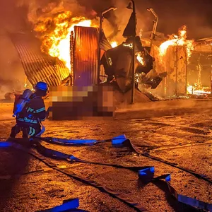 Bei dem Brand eines Pferdestalls in Hamburg-Rahlstedt starben neun Tiere in den Flammen. Ein Pferd schaffte es verletzt ins Freie, musste aber von der Polizei von seinem Leid erlöst werden (M.).