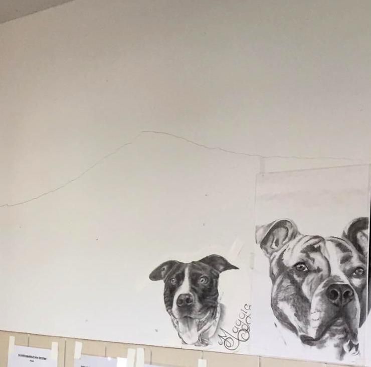 Ein langer Riss in der Hundesozialstation